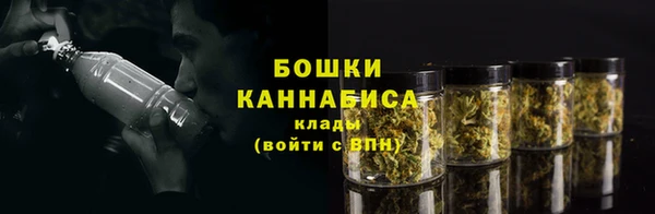 PSILOCYBIN Белоозёрский