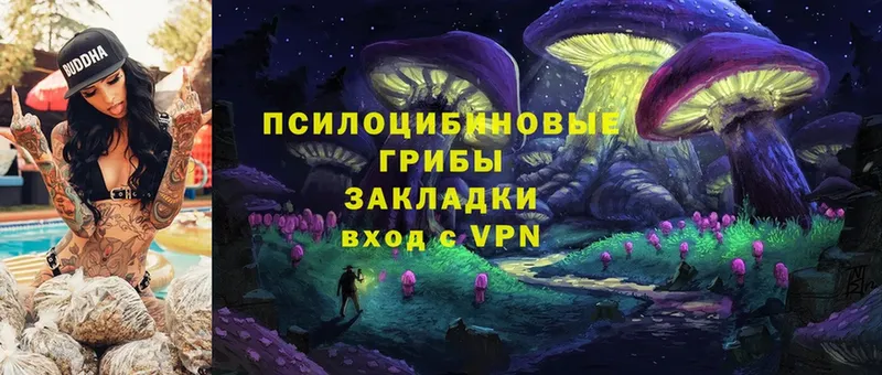 Псилоцибиновые грибы MAGIC MUSHROOMS  как найти закладки  Большой Камень 